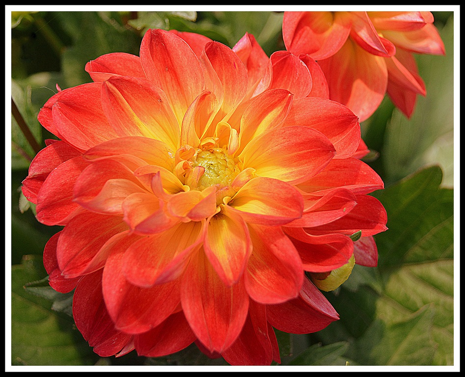 Print In Class B By Arthur Meole For TO BRIGHTEN YOUR DAY FEB-2019.jpg